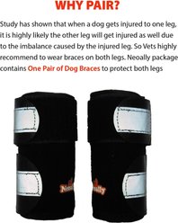 NeoAlly Front Leg Metal Spring Support Dog Brace, Small / Medium slide 2 of 7