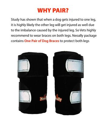 Show full view: NeoAlly Front Leg Metal Spring Support Dog Brace, Small / Medium slide 3 of 9