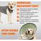 Show in main carousel: NeoAlly Multi-Function Surgical Recovery Suit 3 Level Compression Anxiety Relief Dog Calming Vest, Medium slide 3 of 9
