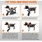 Show in main carousel: NeoAlly Multi-Function Surgical Recovery Suit 3 Level Compression Anxiety Relief Dog Calming Vest, Medium slide 7 of 9