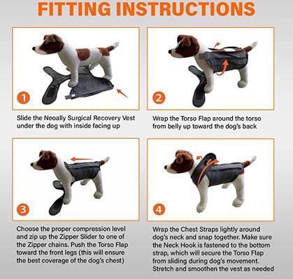 Show full view: NeoAlly Multi-Function Surgical Recovery Suit 3 Level Compression Anxiety Relief Dog Calming Vest, Medium slide 7 of 9