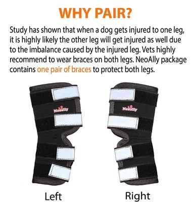 Show full view: NeoAlly Rear Leg Dog Brace, Medium slide 3 of 9