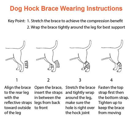 Show full view: NeoAlly Rear Leg Dog Brace, Medium slide 5 of 9