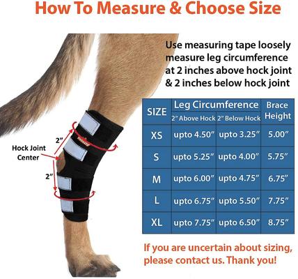 Show full view: NeoAlly Rear Leg Dog Brace, X-Large slide 4 of 9