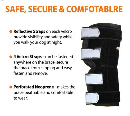 Show full view: NeoAlly Rear Leg Metal Spring Support Dog Brace, 2 count, Medium slide 4 of 10