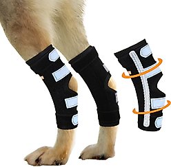 NeoAlly Rear Leg Metal Spring Support Dog Brace, 2 count, Small