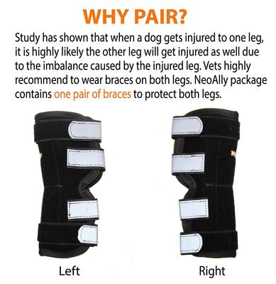 Show full view: NeoAlly Rear Leg Metal Spring Support Dog Brace, 2 count, Small slide 5 of 10
