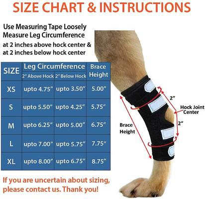 Show full view: NeoAlly Rear Leg Metal Spring Support Dog Brace, 2 count, Small slide 6 of 10