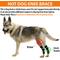 Show in main carousel: NeoAlly Rear Leg Metal Spring Support Dog Brace, 2 count, Small slide 8 of 10