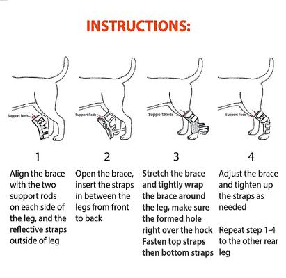 Show full view: NeoAlly Rear Leg Metal Spring Support Dog Brace, 2 count, X-Small slide 7 of 10
