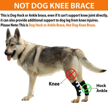 Show full view: NeoAlly Rear Leg Metal Spring Support Dog Brace, 2 count, X-Small slide 8 of 10