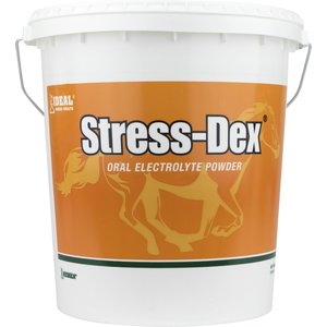 Neogen Stress-Dex Oral Electrolyte Powder Horse Supplement, 20-lb pail