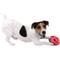 Show in main carousel: Nerf Dog Bash Crunch Football Dog Toy, Medium slide 5 of 8