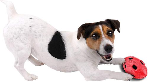 Show full view: Nerf Dog Bash Crunch Football Dog Toy, Medium slide 5 of 8
