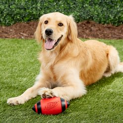 Nerf Dog Classic Squeak Football Dog Toy, Medium, Red slide 2 of 4
