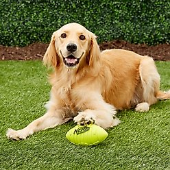 Nerf Dog Classic Squeak Ridged Football Dog Toy, Medium, Green slide 2 of 4