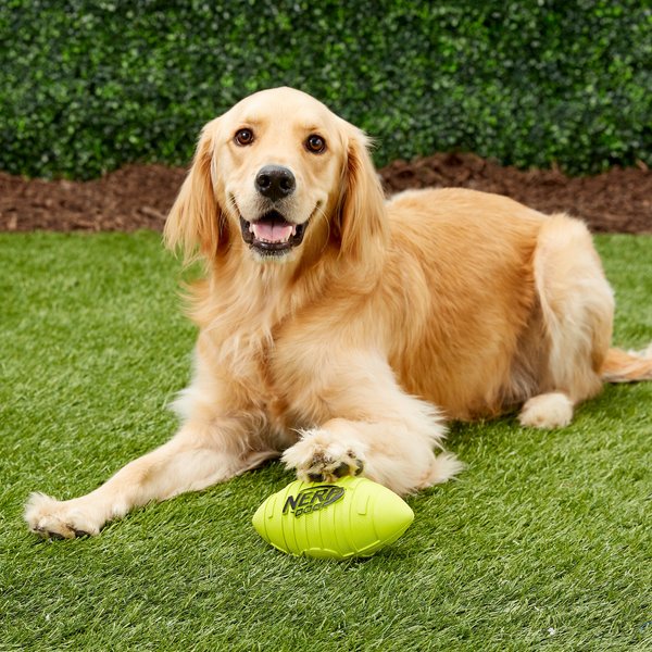 Show full view: Nerf Dog Classic Squeak Ridged Football Dog Toy, Medium, Green slide 2 of 6