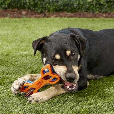 Show full view: Nerf Dog EXO Treat Dispensing Bone Dog Toy slide 6 of 9