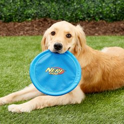 Nerf Dog Nylon Flyer Dog Toy, Medium, Blue slide 2 of 5