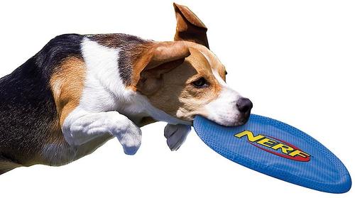 Show full view: Nerf Dog Nylon Flyer Dog Toy, Medium, Blue slide 4 of 7