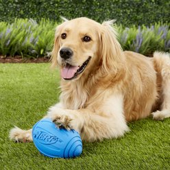 Nerf Dog Ridged Squeak Football Dog Toy, Large, Blue slide 2 of 4