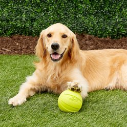 Nerf Dog Squeak Ball Dog Toy, Large, Green slide 2 of 4