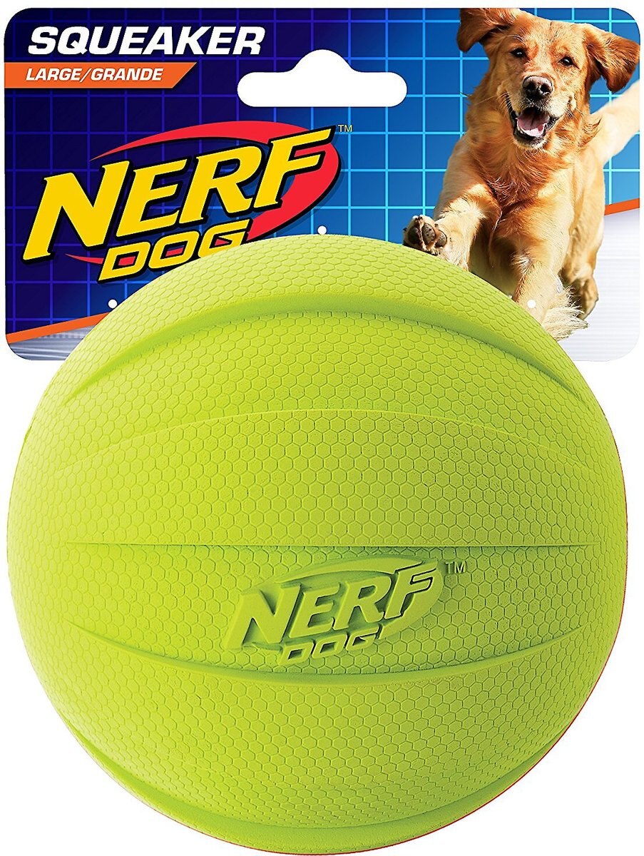 Nerf Dog Squeak Ball Dog Toy, Large