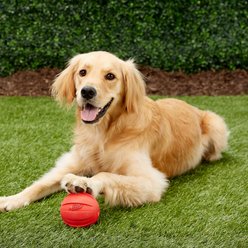 Nerf Dog Squeak Ball Dog Toy, Large, Red slide 2 of 4