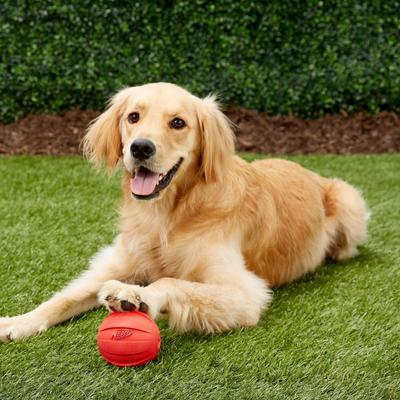 Show full view: Nerf Dog Squeak Ball Dog Toy, Large, Red slide 2 of 6