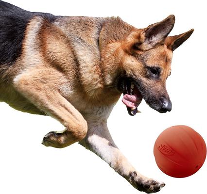 Show full view: Nerf Dog Squeak Ball Dog Toy, Large, Red slide 4 of 6