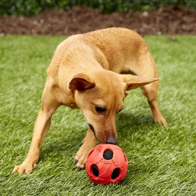 Show full view: Nerf Dog Squeaker Ball Dog Toy, Medium slide 4 of 7