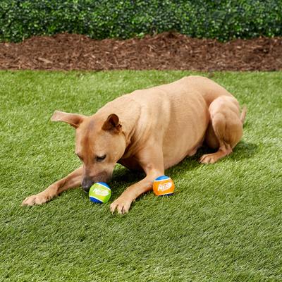 Show full view: Nerf Dog Squeaker TPR Tennis Ball Dog Toy, 2 pack, Medium slide 2 of 7