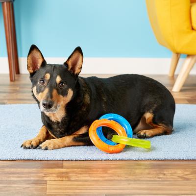 Show full view: Nerf Dog Tuff Tug 3 Ring Dog Toy, Large slide 4 of 6
