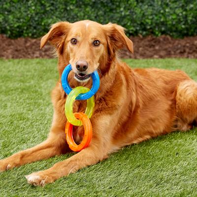 Show full view: Nerf Dog Tuff Tug 3 Ring Dog Toy slide 3 of 9