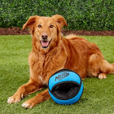 Show full view: Nerf Dog Tuff Tug X-Ring Dog Toy, Medium slide 5 of 6