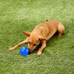 Nerf Dog Ultra Tough TPR Ball Dog Toy, Blue slide 2 of 4