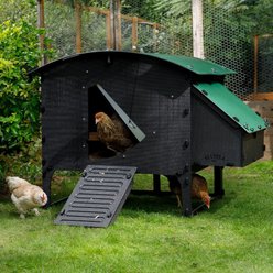 Nestera Elevated Lodge Chicken Coop, Large: 5 to 10 Chicken Capacity, waterproof roof