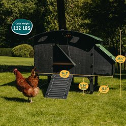 Nestera Elevated Lodge Chicken Coop, Large: 5 to 10 Chicken Capacity, waterproof roof slide 2 of 9