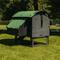 Show in main carousel: Nestera Elevated Lodge Chicken Coop, Medium: 3 to 9 Chicken Capacity, waterproof roof slide 4 of 9