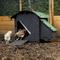 Show in main carousel: Nestera Ground Chicken Coop, Small: 2 to 5 Chicken Capacity, waterproof roof  slide 6 of 9