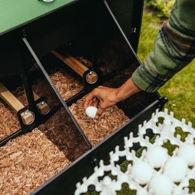 Show full view: Nestera Raised Chicken Coop, Large: 5 to 10 Chicken Capacity, waterproof roof slide 7 of 9
