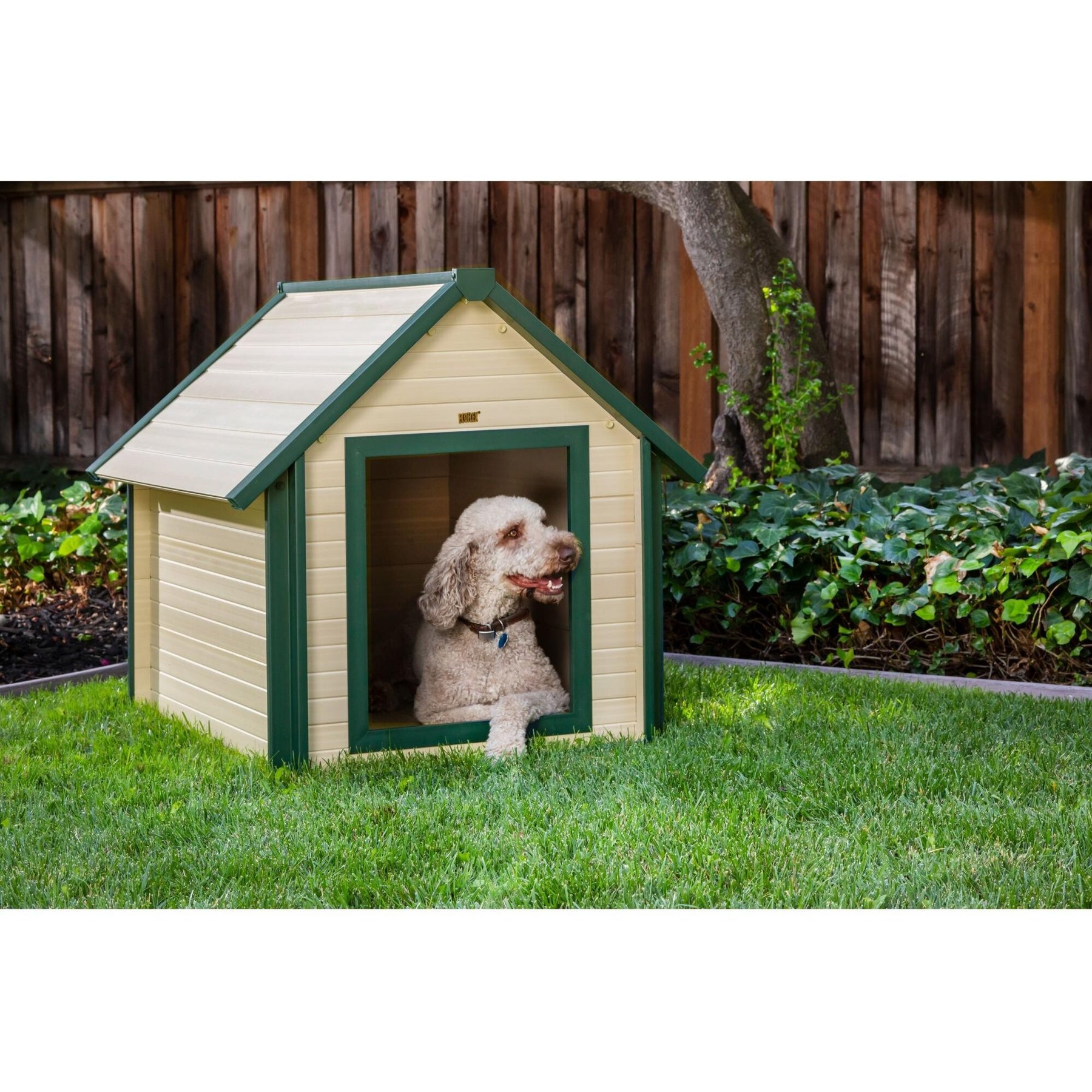 新品CD!Hound Dog ／ ALL THE BEST Home Growm Veehoo Stable Dog House, Dog | VEEHOO