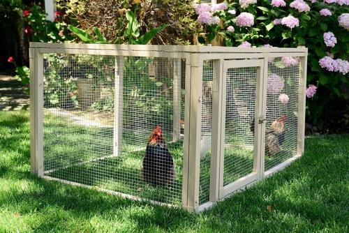 Show full view: New Age Pet ECOFLEX Fontana Urban Farm Chicken Pen, Standard slide 7 of 11