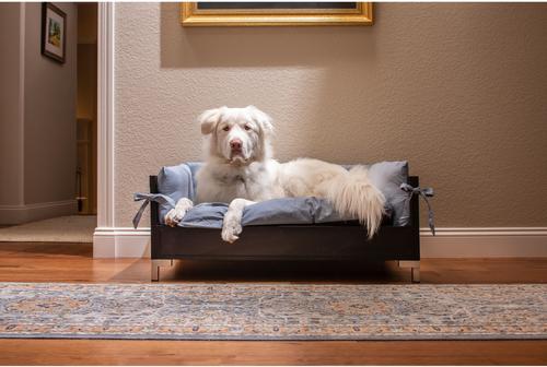 New Age Pet ECOFLEX Manhattan Raised Dog & Cat Bed with Cushion