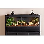 Best Bearded Dragon Enclosures
