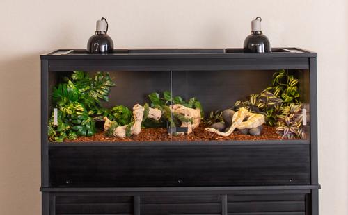 New Age Pet ECOFLEX Mojave Reptile Habitat