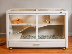 New Age Pet ECOFLEX Park Avenue Indoor Small Animal Hutch, Maple, Small