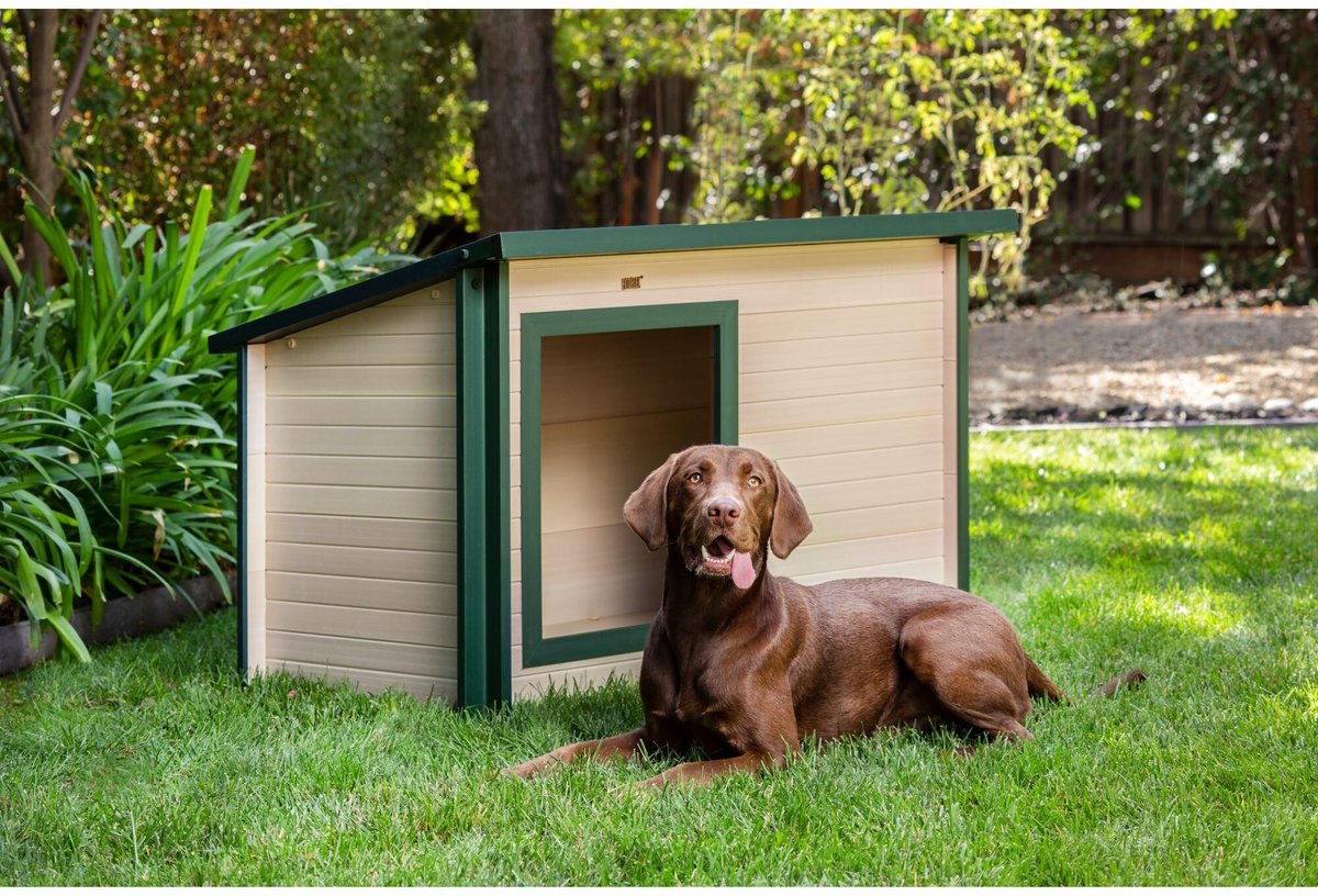 New Age Pet ECOFLEX Rustic Lodge Style Outdoor Dog House