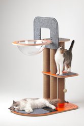 New Age Pet Purr & Play Kitty Basketball Hoop Cat Scratcher Toy, Orange slide 2 of 9
