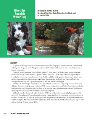 Show full view: New Complete Dog Book, AKC Official Breed Standards & Profiles for Over 200 Breeds slide 5 of 8